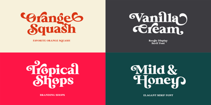 Roogle Font Poster 3