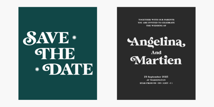 Roogle Font Poster 6