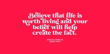 Roogle Font Poster 10