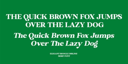 Roogle Font Poster 12