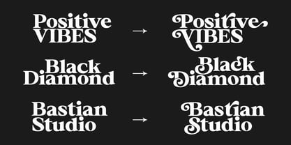 Roogle Font Poster 8