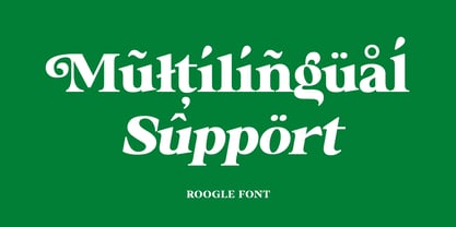 Roogle Font Poster 13