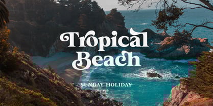 Roogle Font Poster 4