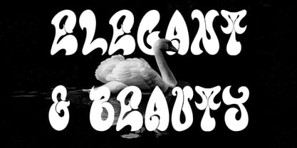 MC Olealle Font Poster 4