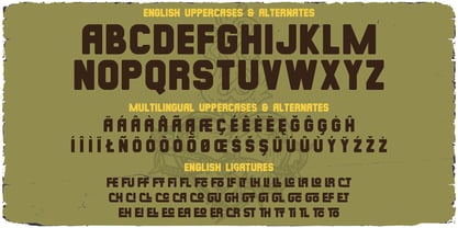 Born Loud Font Poster 5