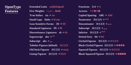 Allrounder Baroque Font Poster 9