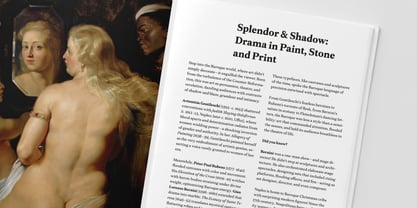 Allrounder Baroque Font Poster 3