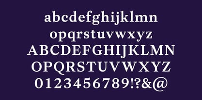 Allrounder Baroque Font Poster 6