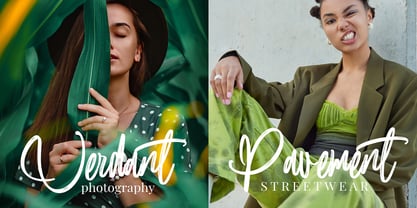 Brushability Font Poster 8