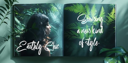 Brushability Font Poster 7