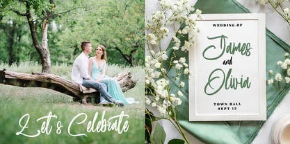 Brushability Font Poster 4