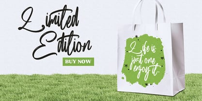 Brushability Font Poster 3