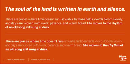 Campesina Font Poster 11