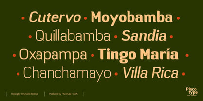 Campesina Font Poster 15