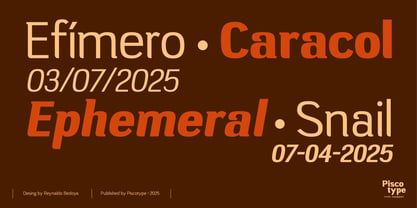 Campesina Font Poster 10