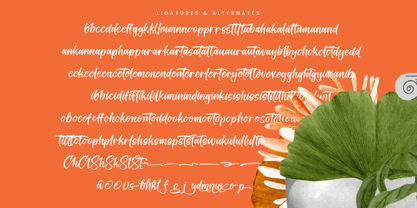 Tropical Splash Font Poster 14