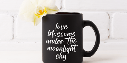 Tropical Splash Font Poster 7