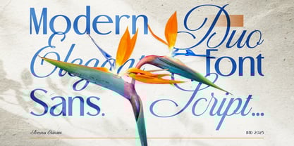 Beyna Elavani Font Poster 6