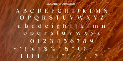 Molade Font Poster 8