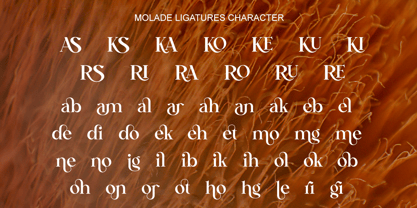 Molade Font Poster 9