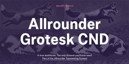 Allrounder Grotesk Condensed Font Poster 1