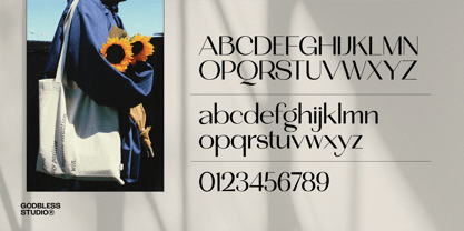 Nightfall Westlight Font Poster 13