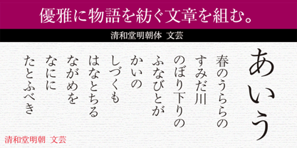 Seiwa Min Bungei Std Font Poster 1