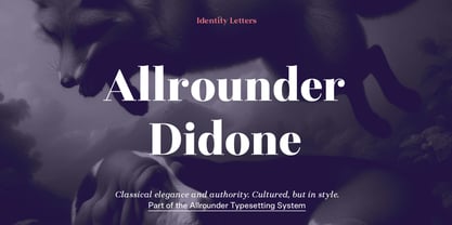 Allrounder Didone Font Poster 1
