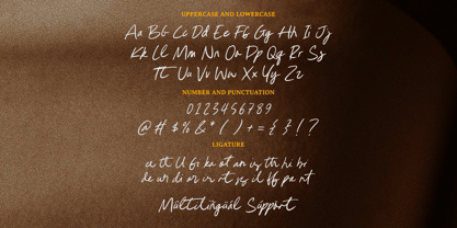 Authentic Strokes Font Poster 6