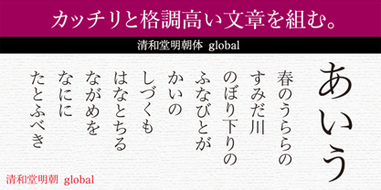 Seiwa Min Global Std Font Poster 1