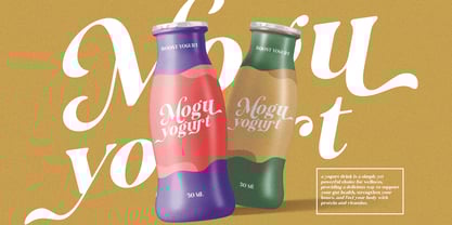 Ansilent Font Poster 8