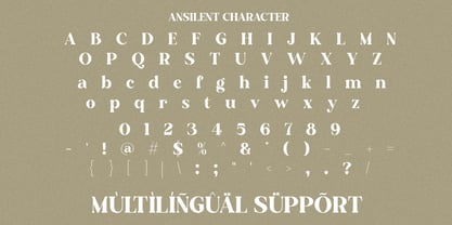 Ansilent Font Poster 9
