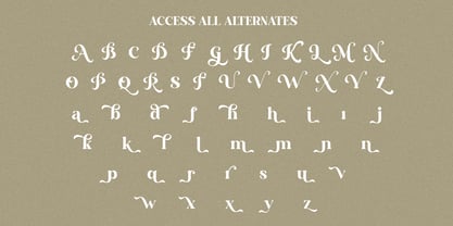 Ansilent Font Poster 10