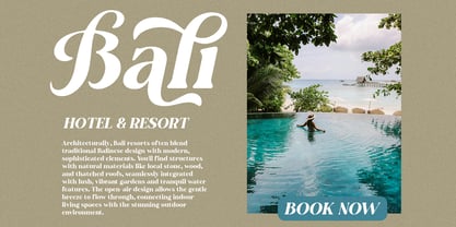 Ansilent Font Poster 2