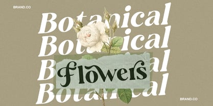 Ansilent Font Poster 4