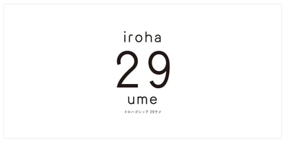 iroha 29ume StdN Font Poster 1