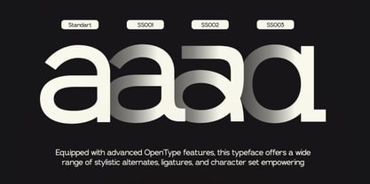 GC Inklab Font Poster 7