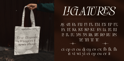 Blither Herasi Font Poster 6