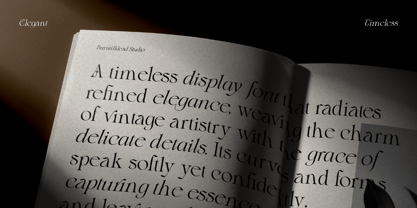 Blither Herasi Font Poster 5