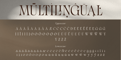 Blither Herasi Font Poster 11