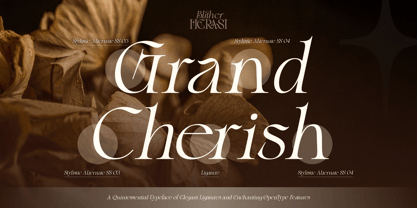 Blither Herasi Font Poster 10