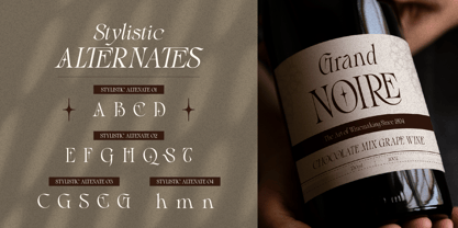 Blither Herasi Font Poster 8