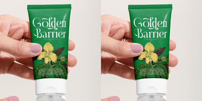 Questing Silver Font Poster 2