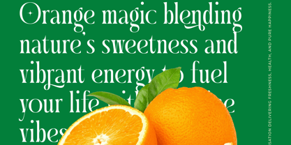 Questing Silver Font Poster 6