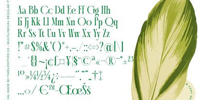 Questing Silver Font Poster 14