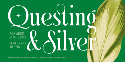 Questing Silver Font Poster 1
