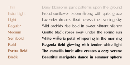 Velorina Font Poster 7