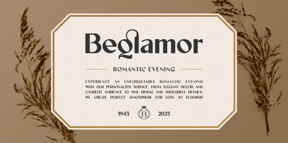 Velorina Font Poster 10