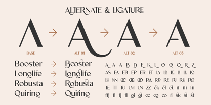 Velorina Font Poster 9
