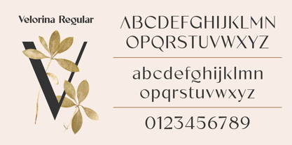 Velorina Font Poster 5
